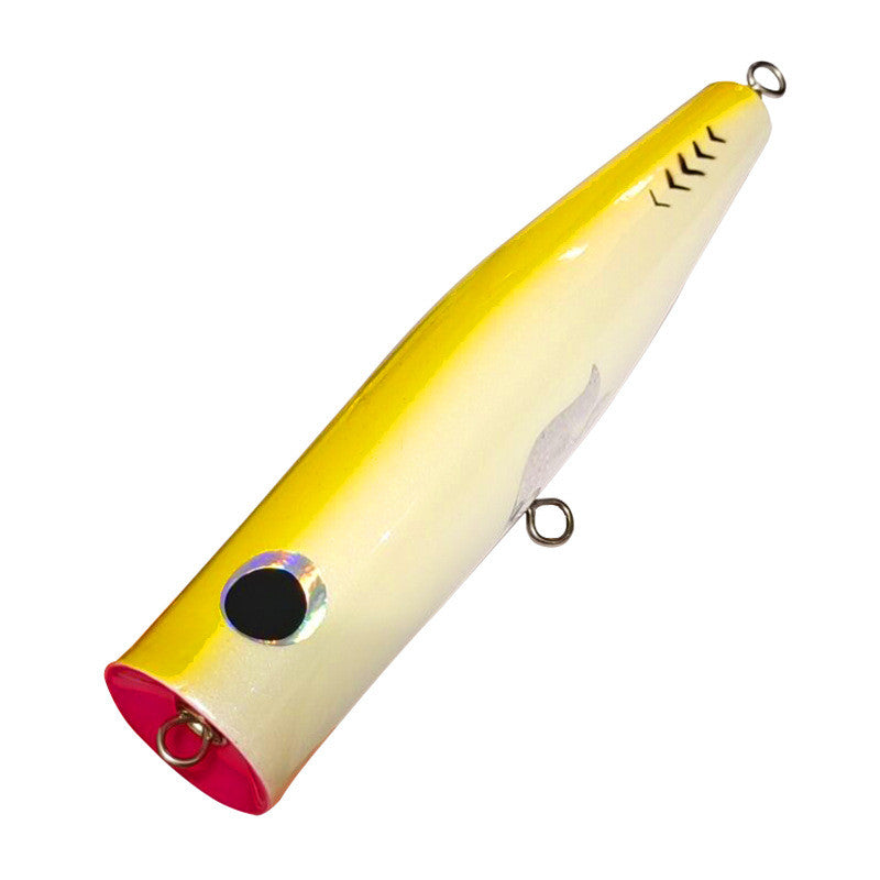 Top Water Fishing Lure