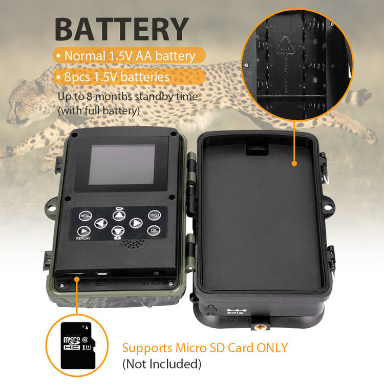 Infrared Trail Camera