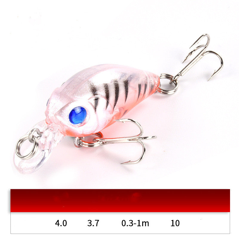 Freshwater Swimbait