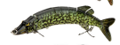 Multisectional Pike Lure