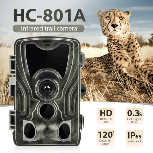 Infrared Trail Camera